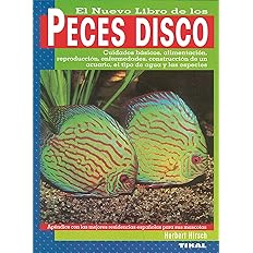 Peces Disco